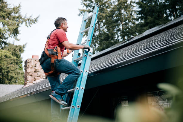 Best Gutter Installation and Repair  in Trowbridge Park, MI