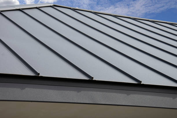 Skylights in Trowbridge Park, MI