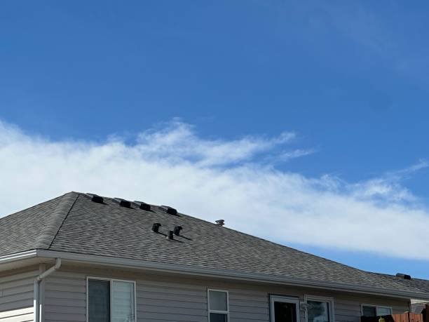 Best Gutter Installation and Repair  in Trowbridge Park, MI